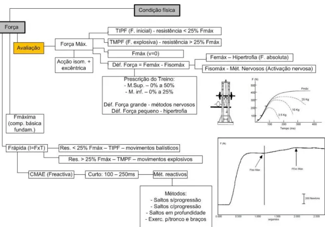 Figura 10. Equação para estimar potência mecânica de 1 Drop Jump. ( g = força gravítica; Ft = tempo de  voo em milisegundos; CT = tempo de contacto em milisegundos; Tt = tempo total do salto [Tt = FT + CT]