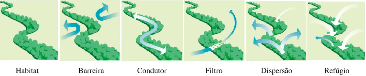 Figura 3.1. Funções dos corredores fluviais na paisagem. Fonte: FISRWG, 1998.