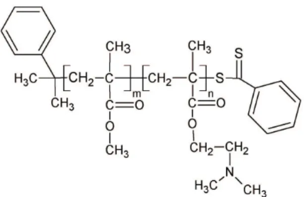 Figure  1  shows  PMMA-b-PDMAEMA  chemical  structure. The pKa of the amine group is around 8 [18] , so that,  at neutral and acid pH´s, most of the nitrogen is protonated  in aqueous solution