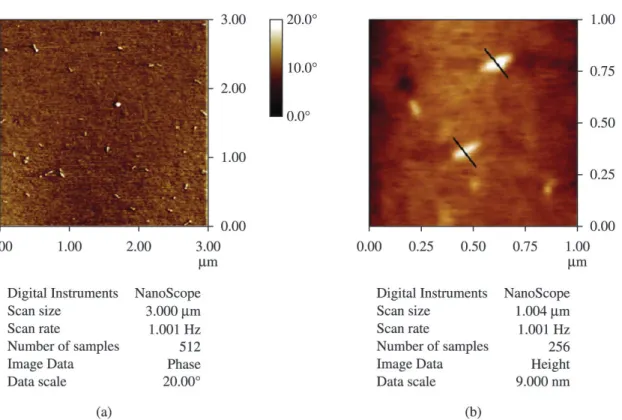 Figure 4. Tapping mode AFM phase (a) and height (b) images of EPDM/LDH nanocomposite [ 43 ] 