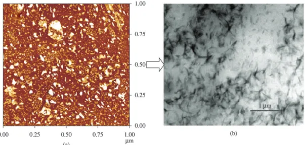 Figure 5. PU containing 8 wt% of clay (a) AFM image (b) TEM photograph [ 62 ] . Note: Reprinted from [62]  with permission from Elsevier.
