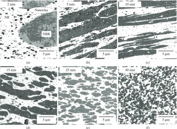 Figure 6. Development of blend morphology and clay transfer in NBR/(NR-clay masterbatch) blend in dependence on mixing time  (HNBR/NR ratio 50/50, clay loading 5 phr; dark dots = clay, grey domains = NBR, white matrix = NR) [ 21 ] 