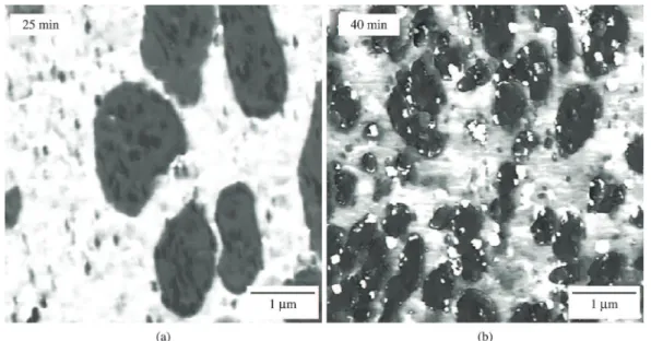 Figure 7. Blend morphology and clay distribution in HNBR/(NR-clay masterbatch) blend at 25 min (a) and 40 min (b) (HNBR/NR  ratio 50/50, clay loading 5 phr; dark dots = clay, grey domains = NBR, white matrix = NR) [ 21 ] 