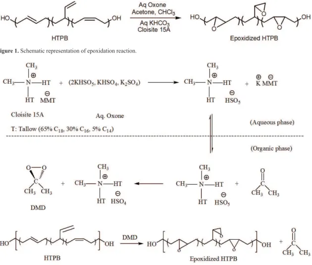 Figure 1. Schematic representation of epoxidation reaction.