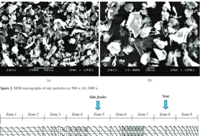 Figure 2. SEM micrographs of talc particles (a) 500 x; (b) 1000 x.
