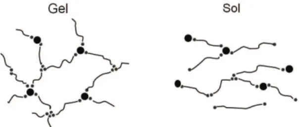 Figure 1. The structure of gel and sol phases in NR.