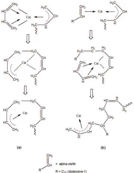 Figure 4. Cis-polybutadiene formation, according to Porri [18]  (a) and a scheme of alpha-olefin insertion in the polybutadiene chain  proposed by us (b).