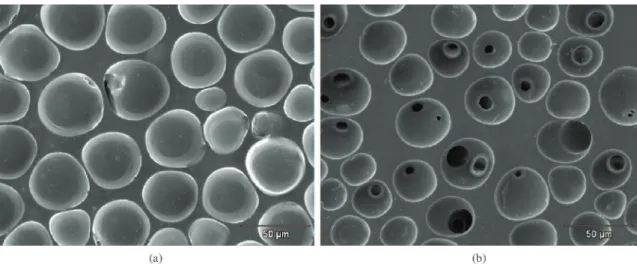 Figure 5. SEM micrographs of the PLDLA/PCL-T (50/50) membrane fracture surface obtained by evaporation and degraded in vitro