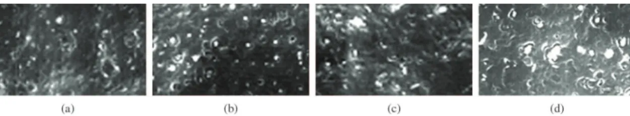 Figure 2. SEM images of P(MAA-co-MMA)/PVP/MWNTs nanocomposites. a) P(MAA-co-MMA)/PVP/0.5wt% MWNTs,  b) P(MAA-co-MMA)/PVP/1wt% MWNTs, c) P(MAA-co-MMA)/PVP/2wt% MWNTs, d) P(MAA-co-MMA)/PVP/3.0wt% MWNTs.