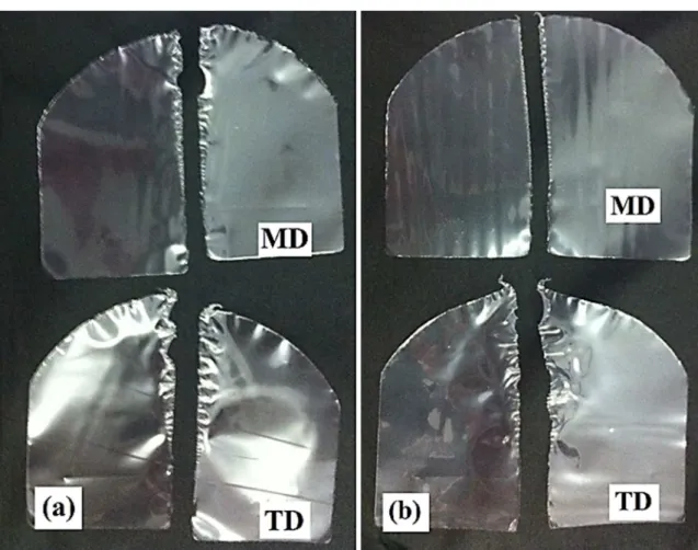 Figure 6. Elmendorf tear test specimens: (a) mLLDPE A_35; (b) mLLDPE B_35.