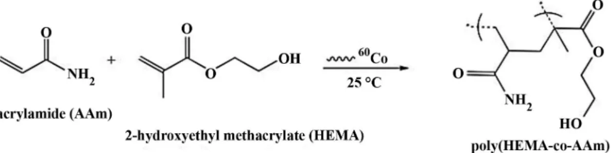 Figure 1. Schematic representation of the radiation copolymerization reaction of HEMA and AAm.