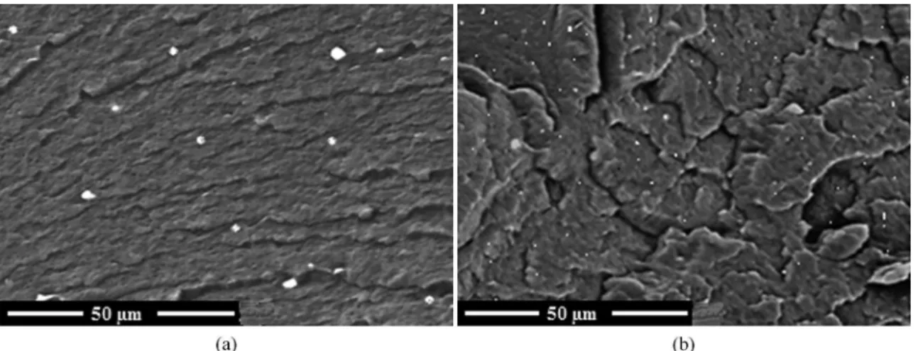 Figure 4. Morphologies of PP108 MF 97-T3- 0.1 traced blends extruded at (a) 100 rpm and (b) 800 rpm.