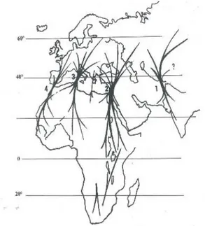 Fig.  4  –  Principais  rotas  migratórias  de  Coturnix  coturnix  (adaptado  de  Perennou,  2009)