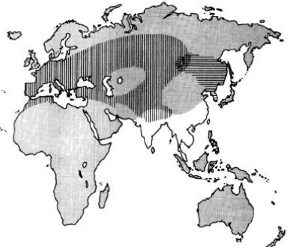 Fig.  5-  Áreas  de  reprodução  da  codorniz  europeia  (linhas  verticais)  e  da  codorniz  japonesa  (linhas  horizontais),  mostrando  a  área  de  sobreposição  (adaptado de Puigcerver et al., 2007)