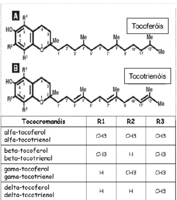 Fig.  8  -  Estrutura  química  da  vitamina  E  (Adaptado de Quaresma et al., 2008). 