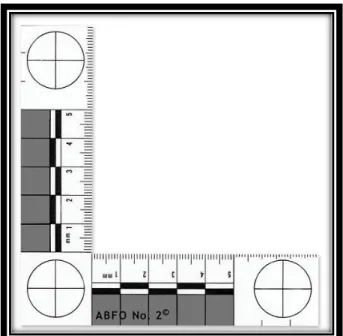 Figura 2 Escala milimétrica nº2 American Board of Forensic Odontology - ABFO                  (Adaptado de Nuzzolese et alli., 2009)