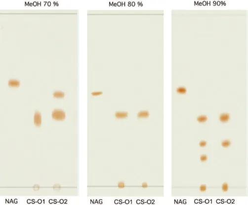 Figure 3  indicates that CS-O2 generally have a better  antioxidant activity than CS-O1 (p<0.05) which has longer  polysaccharide chain