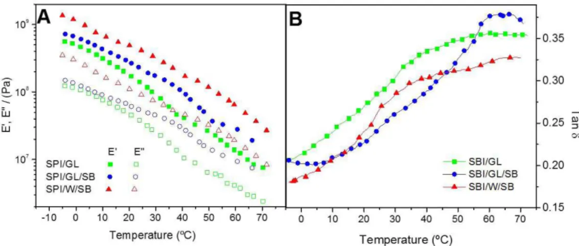 Figure 2. DMTA temperature ramp measurements, at 1 Hz and 3 °C·min −1 , all the studied systems (SPI/GL, SPI/GL/SB and SPI/W/SB): 