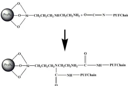Figure 1. FT-IR spectra of (a) Fe 3 O 4  and (b) Fe 3 O 4 @AEAP  nanoparticles.