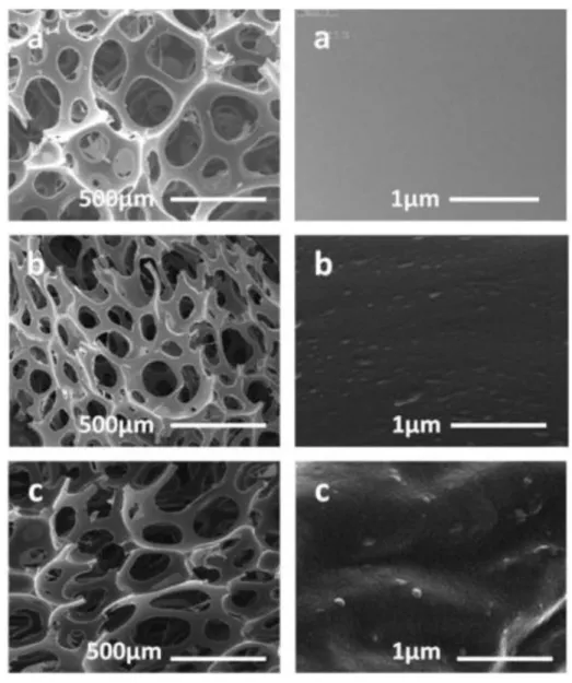 Figure 5. FE-SEM images of PUF foams nanocomposite with different contents of Fe 3 O 4 @AEAP: (a) 0.0; (b) 1.5 and (c) 3.0%.