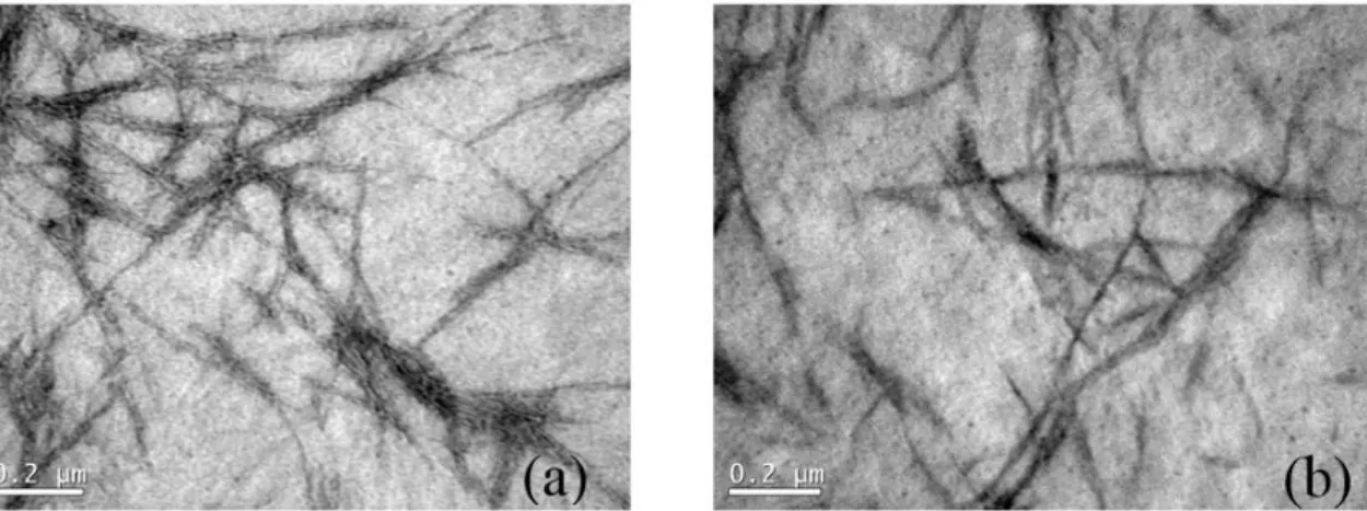 Figure 5. TEM micrographs for whiskers obtained from (a) SCB and (b) CCS as raw materials dispersed in DMF.