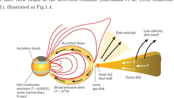 Figure 1.4: Illustration of magnetospheric accretion in a Classical T Tauri star. From Hartmann et al