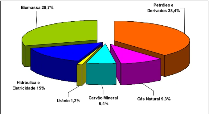 Figura 1 – Oferta Interna de Energia em 2005. 