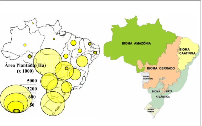 Figura 7 – Área ocupada pela Soja 5  Vrs Biomas do Brasil em 2006. 