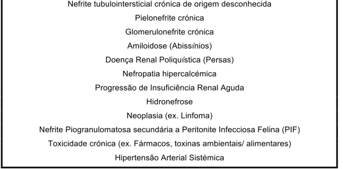 Tabela 1 – Causas mais frequentes de DRC em felinos (adaptado de Chew et al., 2011)  Nefrite tubulointersticial crónica de origem desconhecida 