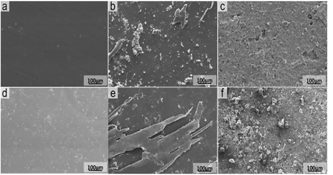 Figure 4. Micrograph of PHBV/ PP-co-PE (a, b, c) and PHBV/ PP-co-PE/add (d, e, f).