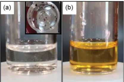 Figure 6. EF-TEM images of SiO 2 NP synthesized by the Stöber method. (a) pure SiO 2 NP and (b) SiO 2 NP/PS 122 -b-PVP 70  with their  respective carbon maps.