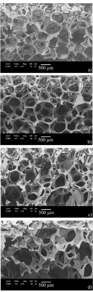 Figura 4. Micrografia de MET da amostra de celulose de Pinus 