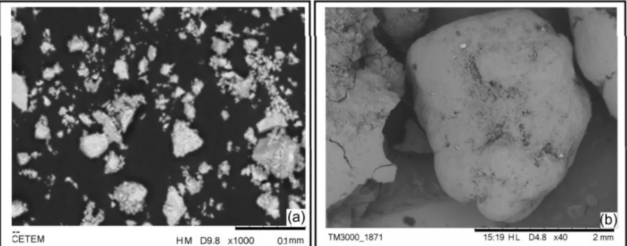 Figure 6. Scanning electron microscope image of the maghemite (a) and composite (b).