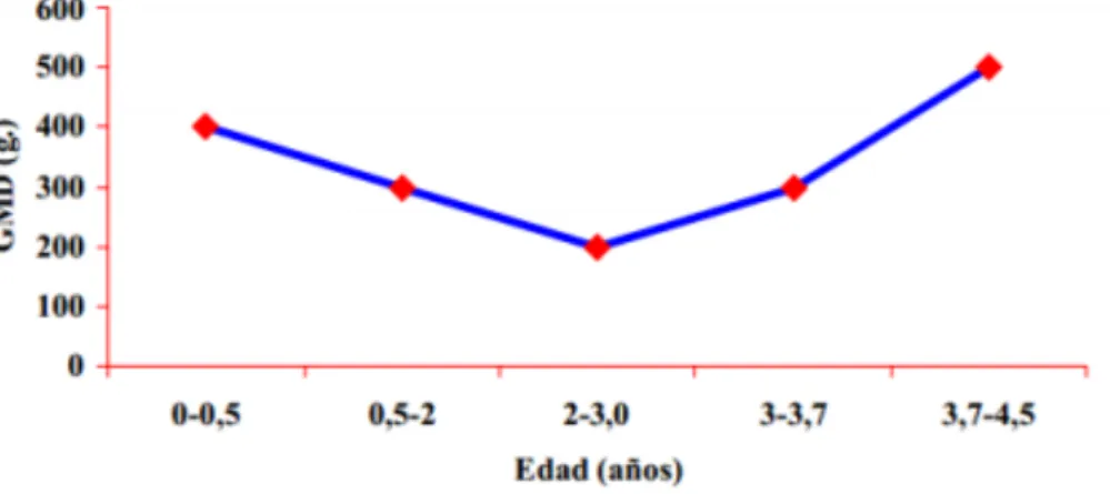 Figura 8 - Evolução e GMD do touro bravo em função da idade (adaptado  de Caballero de la Calle, J.R., 2002) 