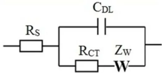 Figure 2. The Randles equivalent circuit [10] . The Randles  parameters are R S  (active electrolyte resistance); C DL  (double-layer  capacitance); R CT  (active charge transfer resistance) and Z W (Warburg impedance).