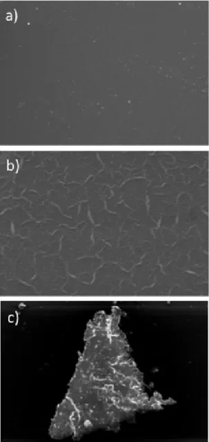Figure 5. Scanning electron microscopy (a) silicon; (b) PMMA  dissolved in chloroform; (c) PMMA film without the silicon.