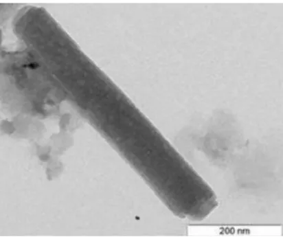 Figura 2 - Micrografia TEM de um nanotubo presente na amostra do pó de Alvalade