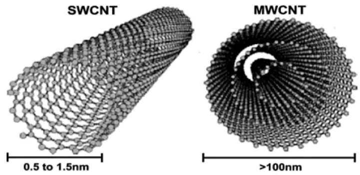 Figure 1. Schematic representation of single walled carbon nanotube (SWCNT) and multi walled carbon nanotube (MWCNT) [13] .