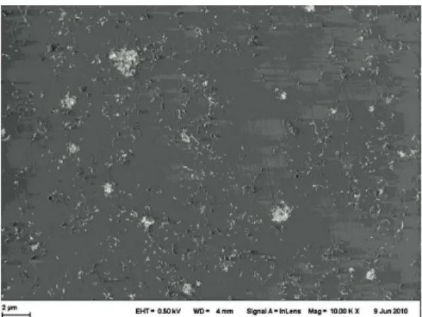 Table 1. Physical properties of different carbon nanotubes [10] .