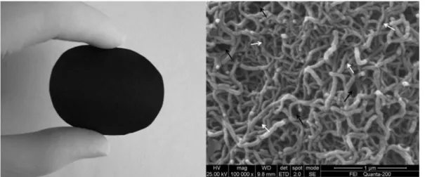 Figure 5. Representation of MWCNT buckypaper and its microstructure observed by SEM [61] .
