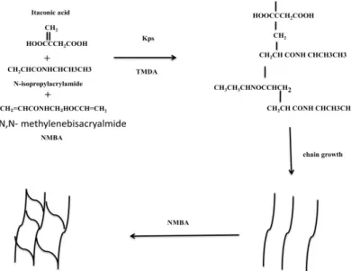 Figure 1. Scheme of the polymerization reaction of the synthesized hydrogels.