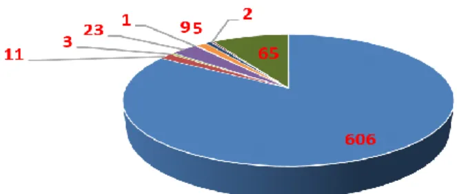 Gráfico 12. Modus operandi do agressor face ao crime de violência doméstica 