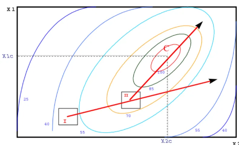 Figure 1 – Boundaries of a system with an optimum.