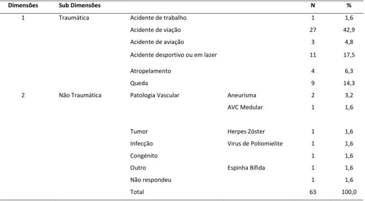 Tabela 11. Dados descritivos da etiologia da lesão dos participantes 