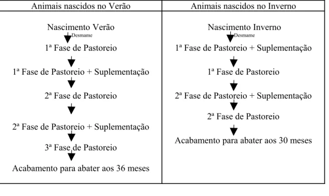 Tabela 4 – Fases de produção do sistema extensivo de animais nascidos no Inverno e no  Verão (30 e 36 meses)