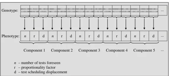 Figure 2 – Schematic representation of the genotype/phenotype structure. 