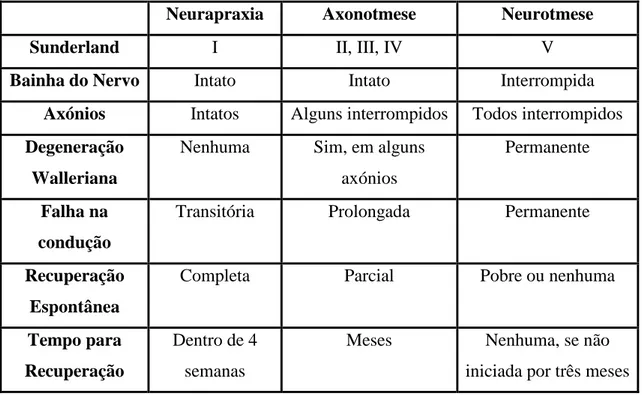 Tabela  1-  Classificação  de  Seddon,  adaptada  para  injúrias  do  nervo,  comparativamente com a classificação de Sunderland (Adaptada de: Meyer e Bagheri,  2011)
