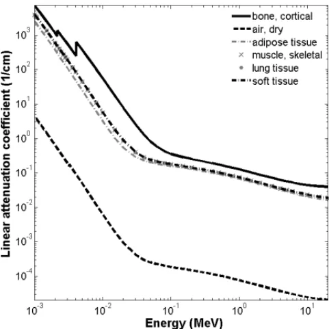 Figure 1 – Linear attenuation coefficients for different absorbing mediums.