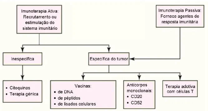 Figura 1: Imunoterapia antineoplásica em medicina veterinária. Retirado de Ettinger, Feldman 