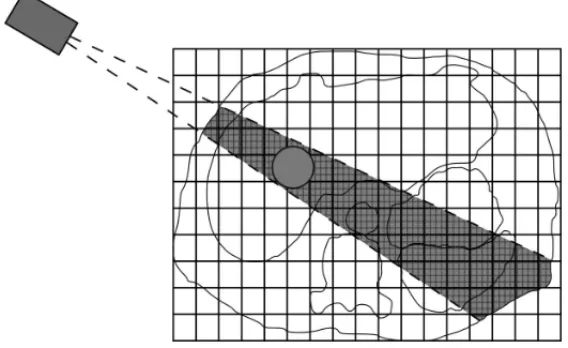 Figure 1 – Issuance of a radiation beam. (Source: Goldbarg, 2009).